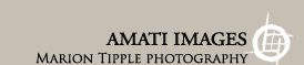 Amati Images